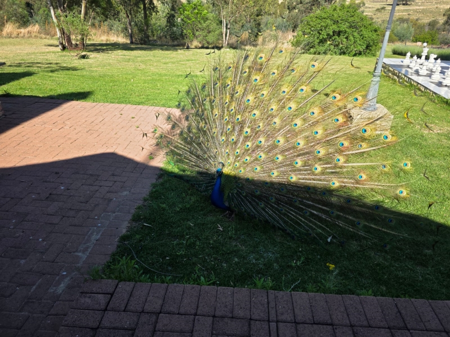 38 Bedroom Property for Sale in Paul Roux Free State